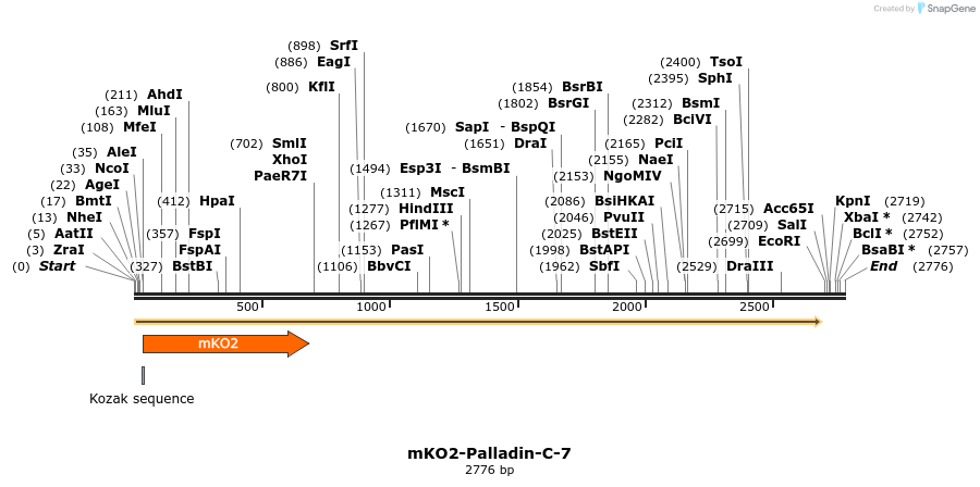 89040_map