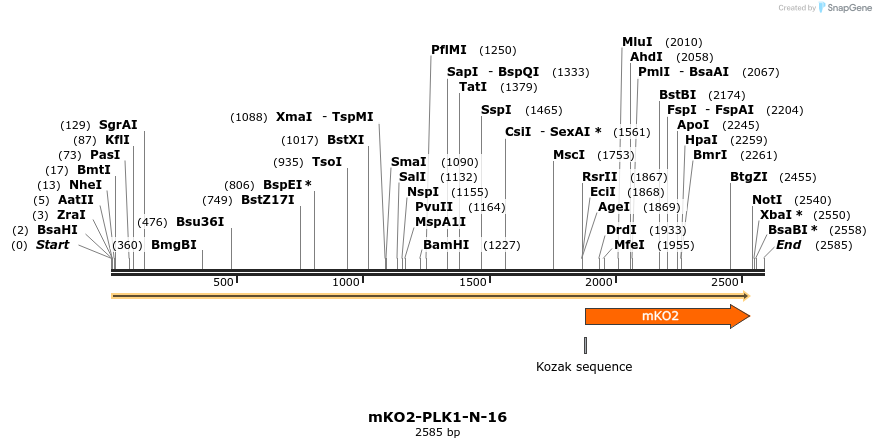 89042_map