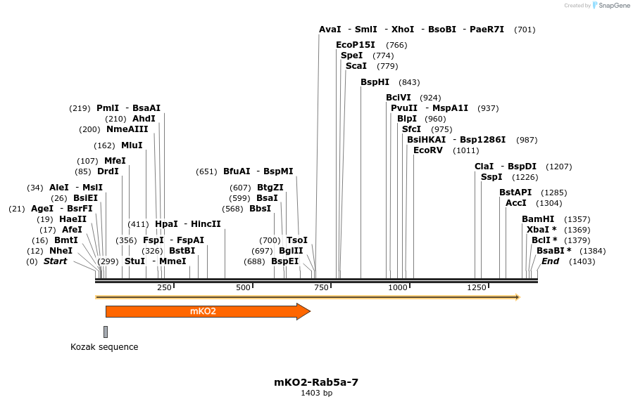 89043_map