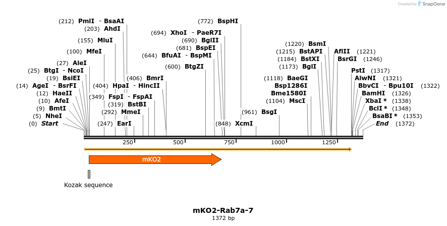 89044_map