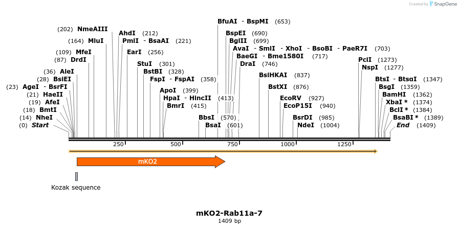 89045_map