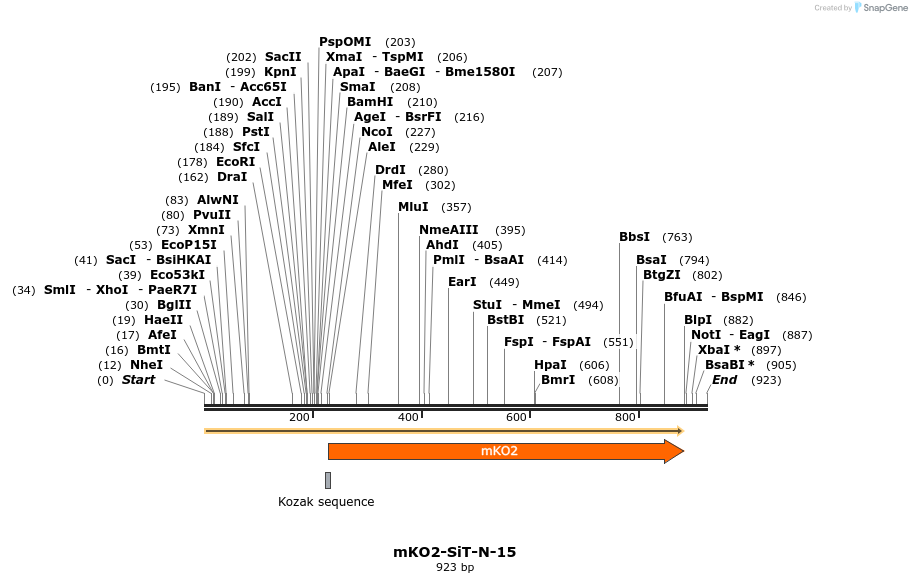 89046_map