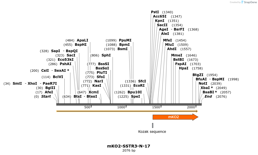 89047_map