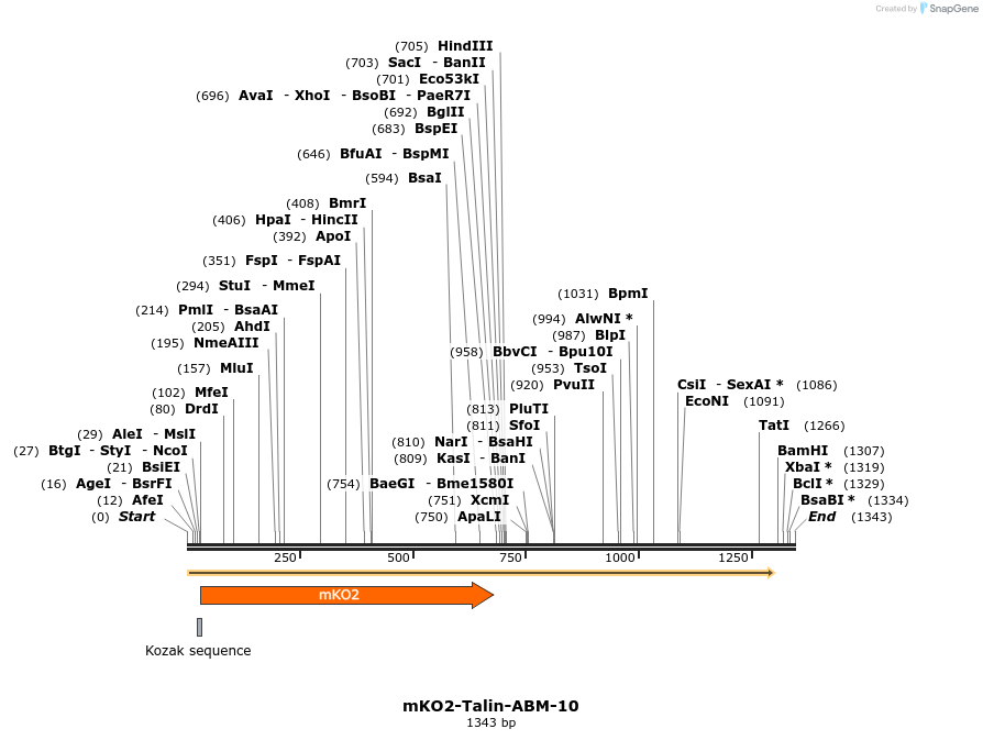 89048_map