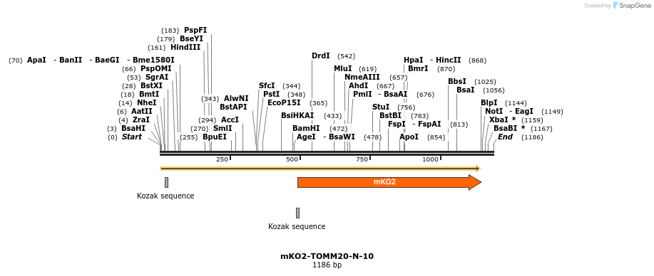 89050_map