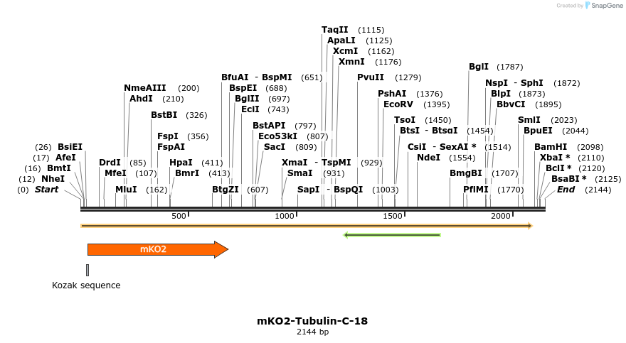 89052_map