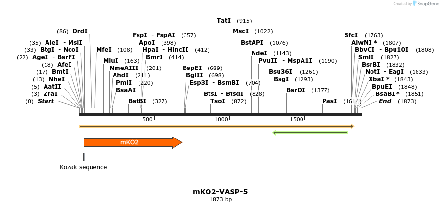 89053_map