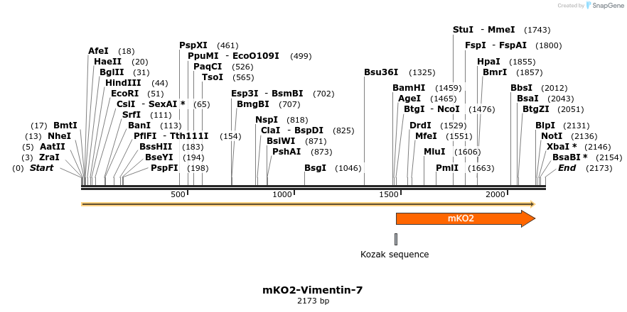 89055_map