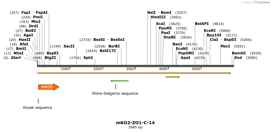 89056_map