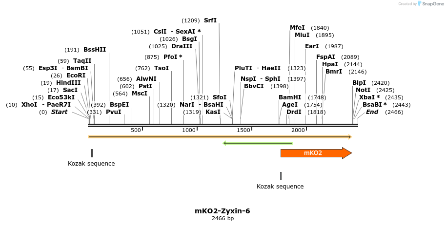89057_map