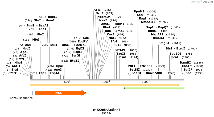 89058_map