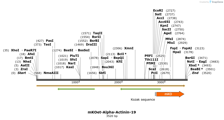 89059_map