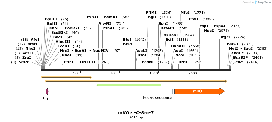 89062_map