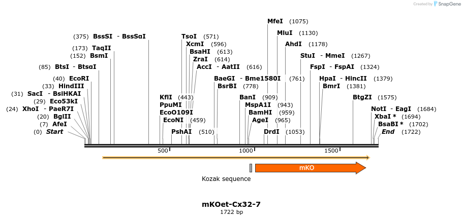89064_map