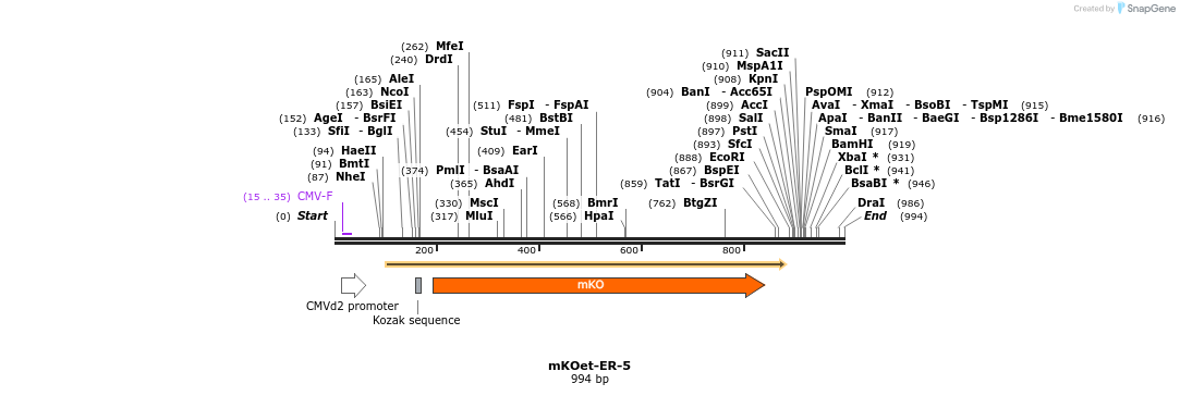 89066_map