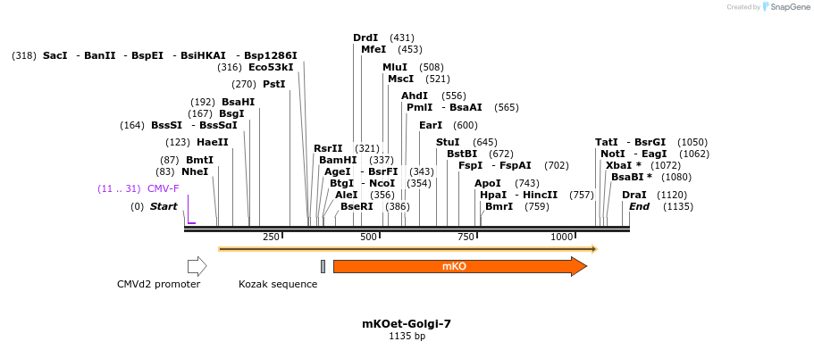 89069_map