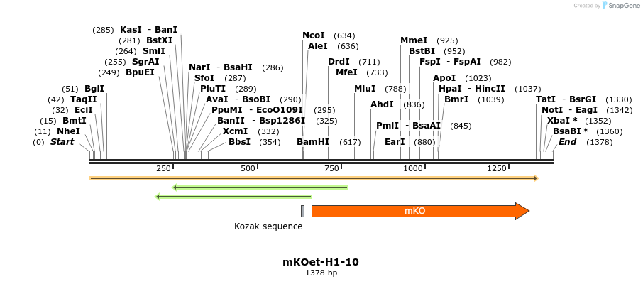 89070_map