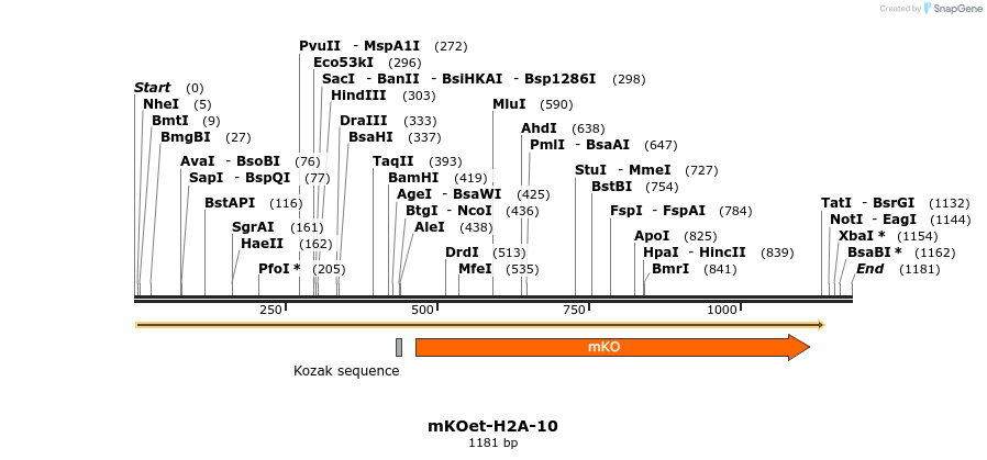 89071_map