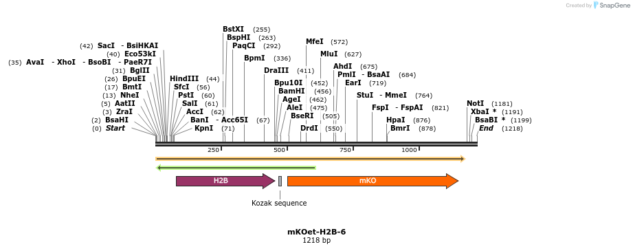 89072_map