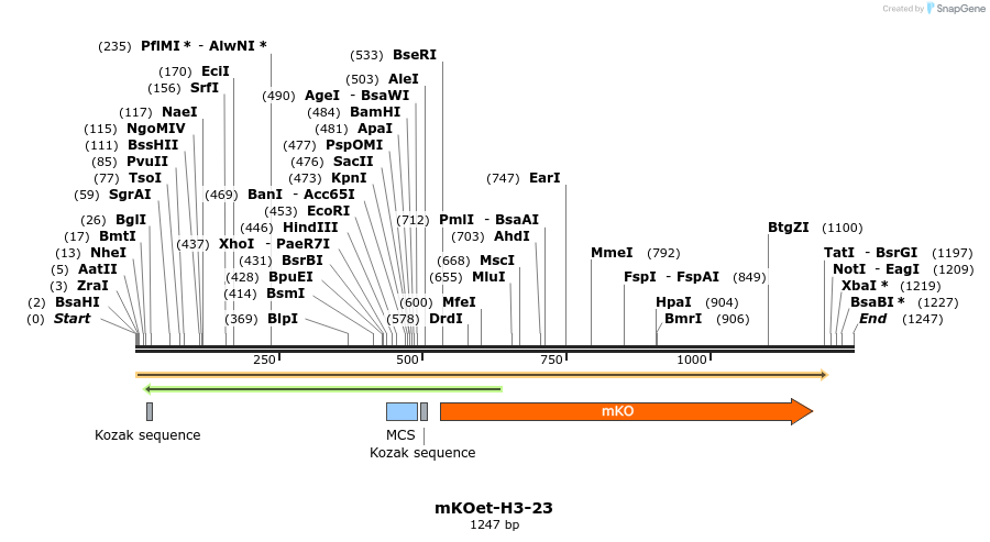 89073_map