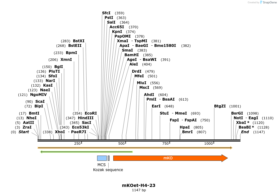 89074_map
