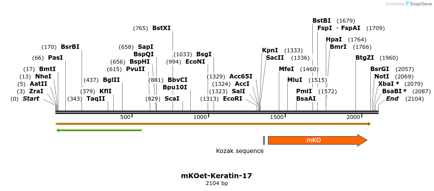 89075_map