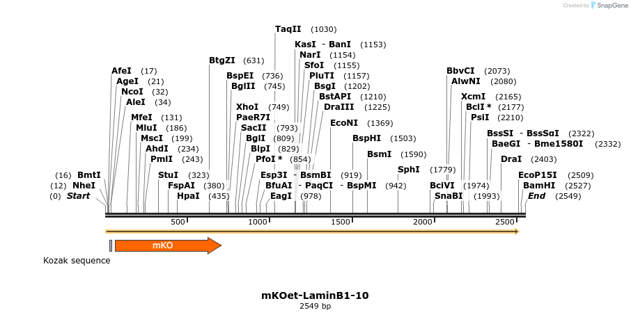 89076_map