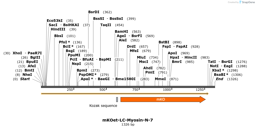 89077_map