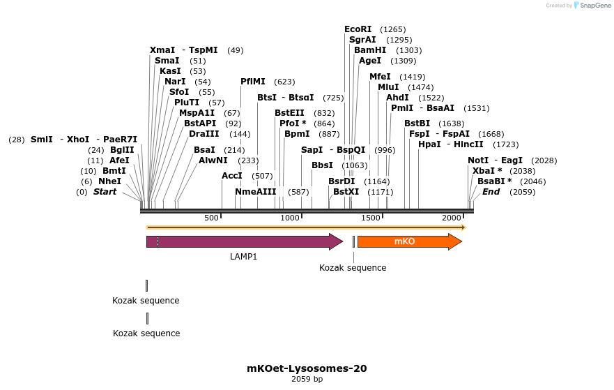 89078_map