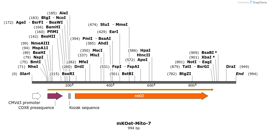 89079_map
