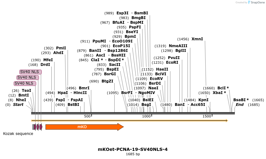 89082_map