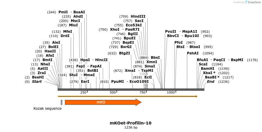 89083_map
