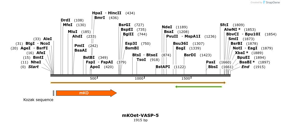 89085_map