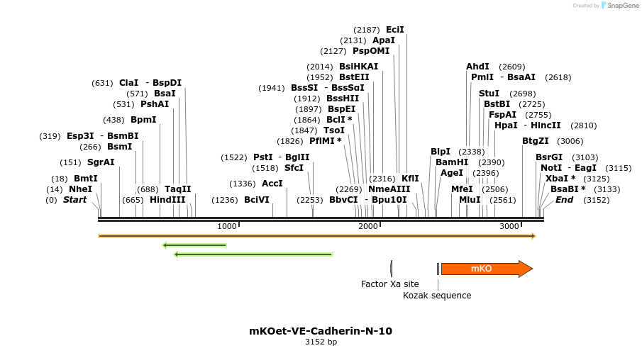 89086_map