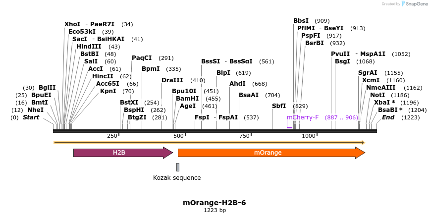 89090_map