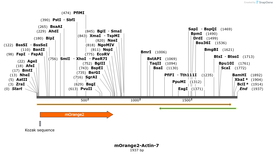 89091_map