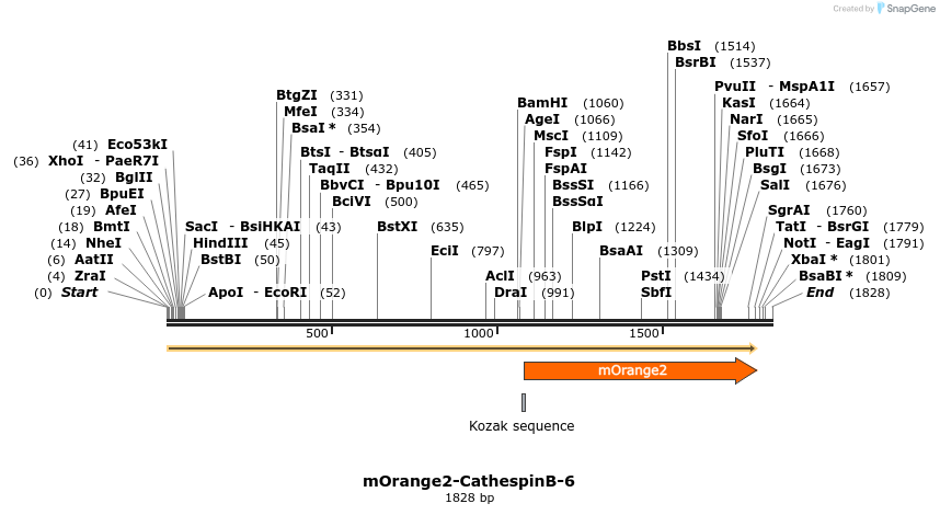 89093_map