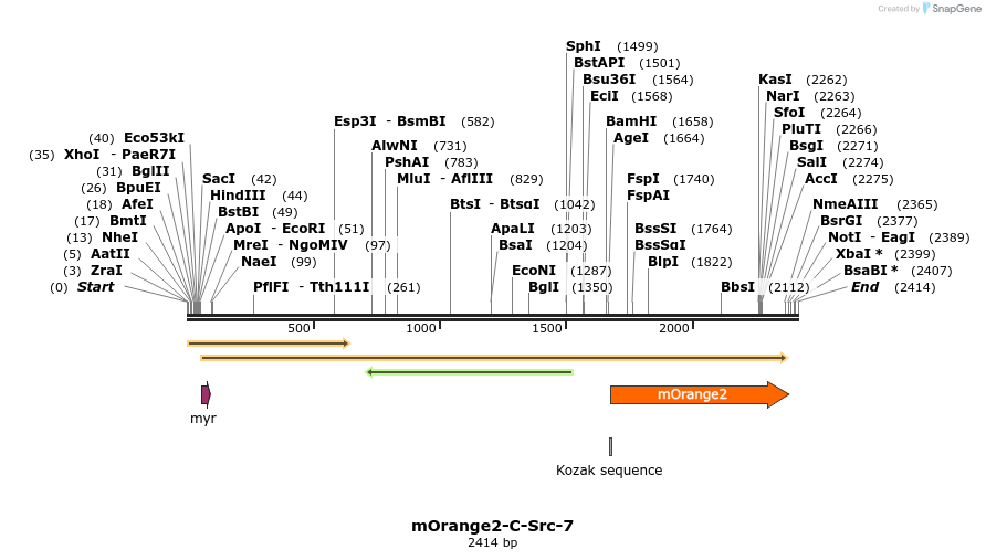 89096_map
