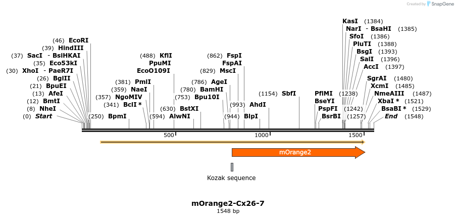 89097_map