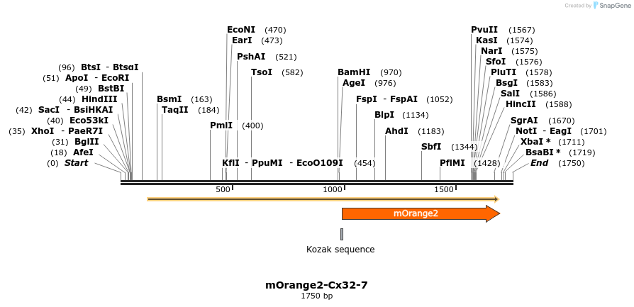 89098_map
