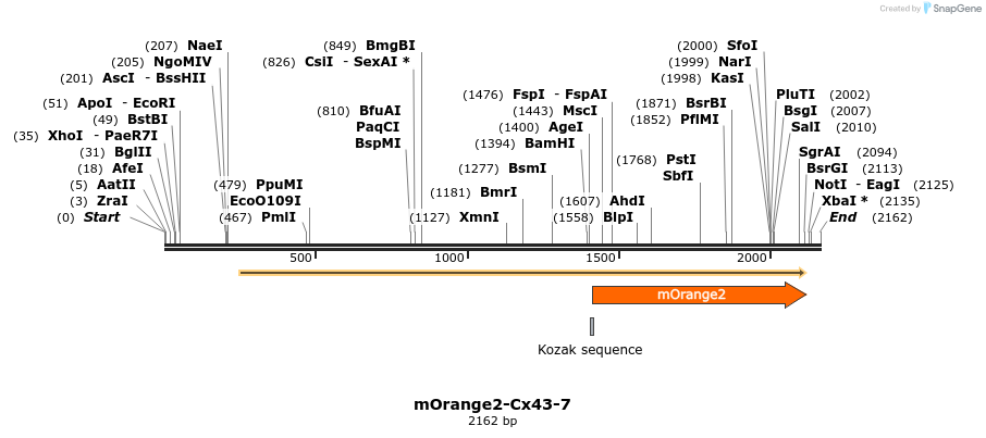 89099_map