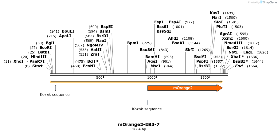 89101_map