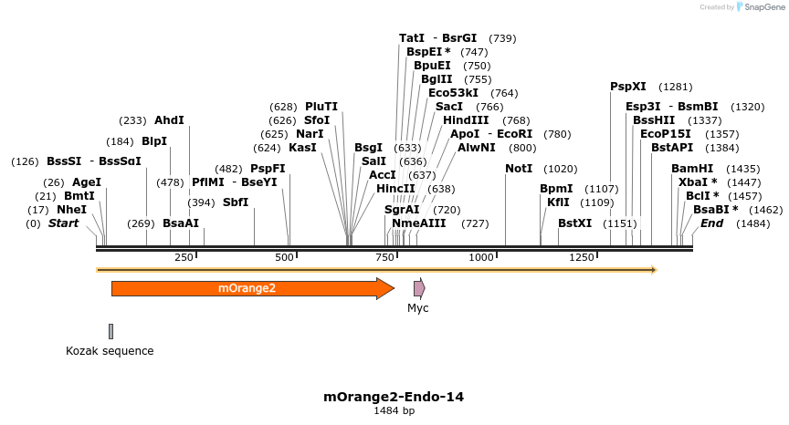 89103_map