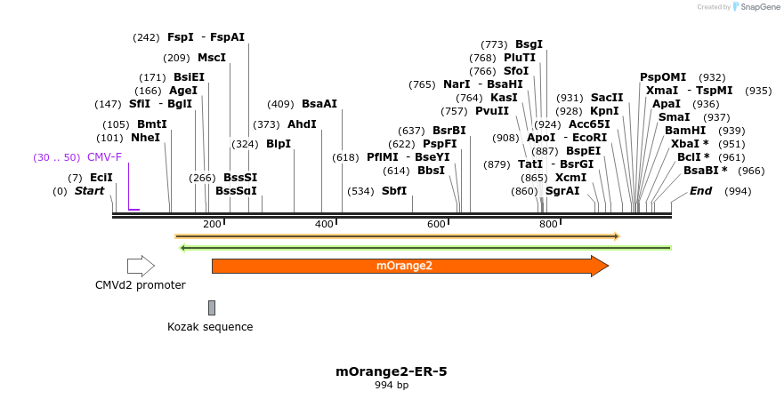 89104_map