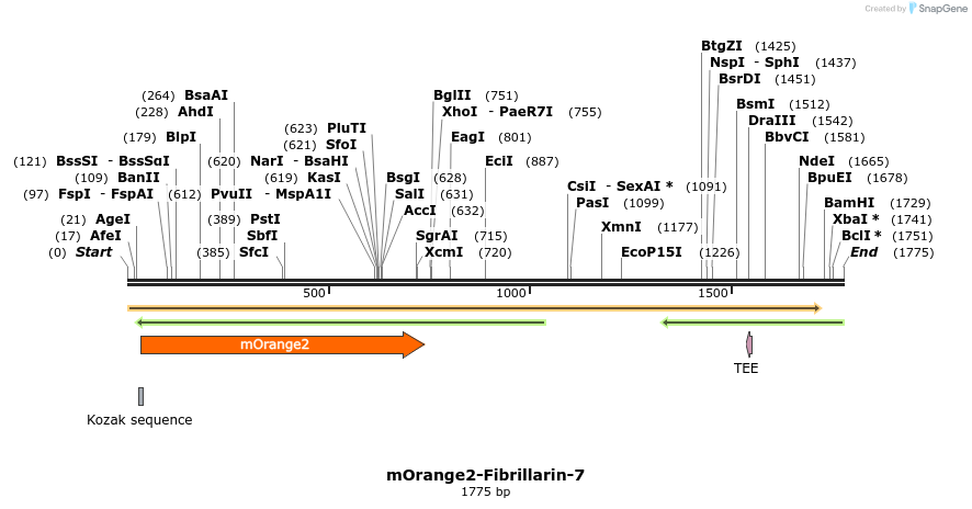 89105_map