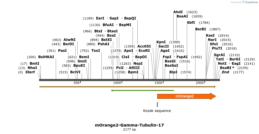 89106_map