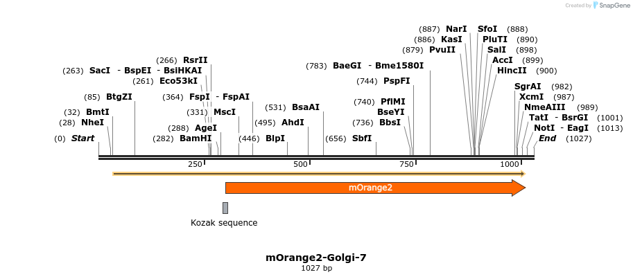 89107_map