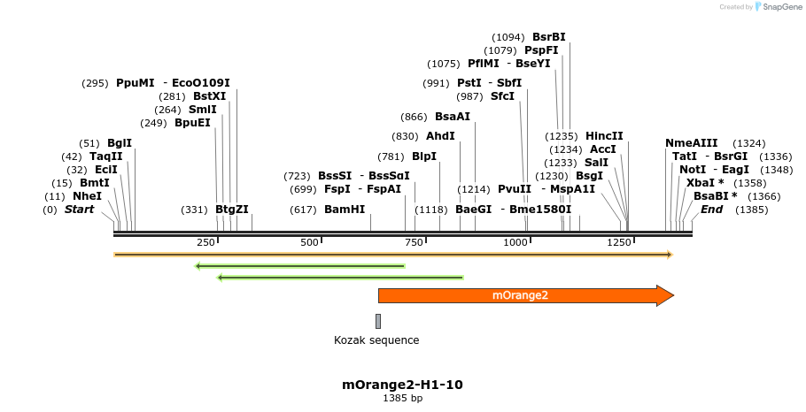 89108_map