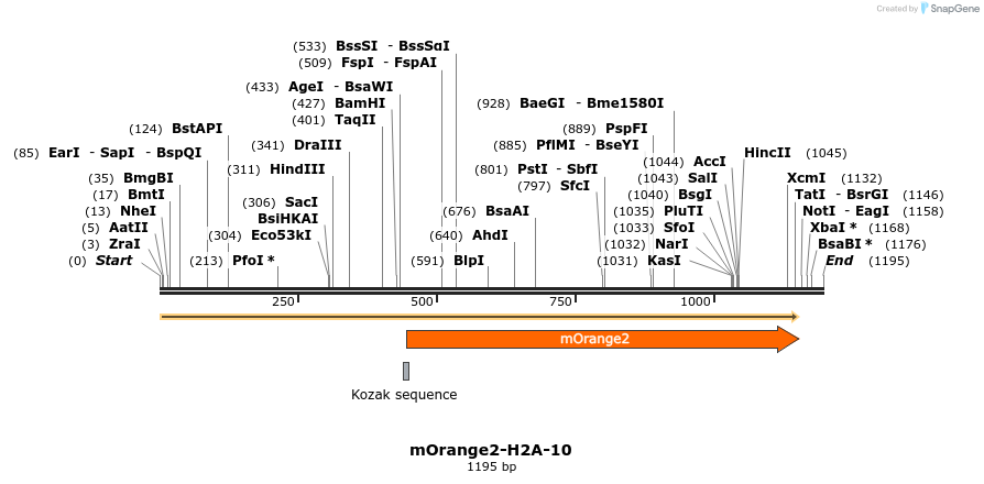 89109_map