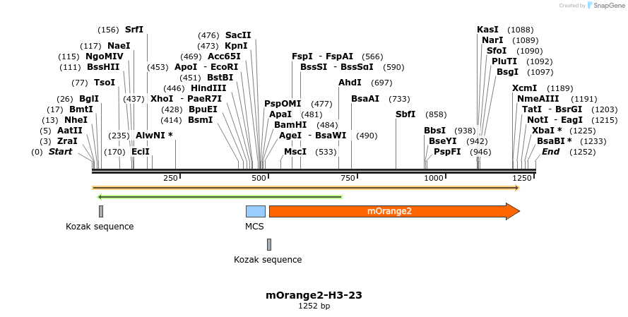 89111_map